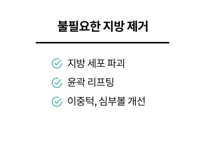 불필요한 지방 제거