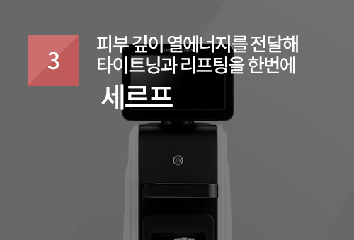 세르프